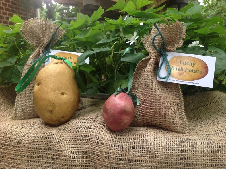 Irish ornament, looks like a real potato. Very cute image 3