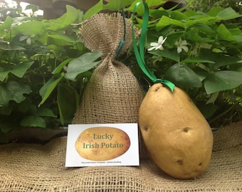 Décoration irlandaise, ressemble à une vraie pomme de terre. Très mignon !