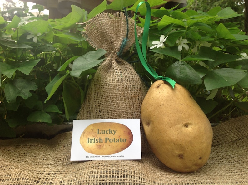 Irish ornament, looks like a real potato. Very cute image 1