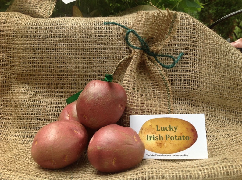 Irish ornament, looks like a real potato. Very cute image 4
