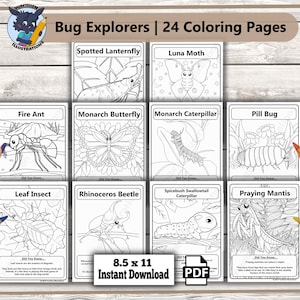 Bug Explorers: 24 leuke en leerzame kleurplaten voor nieuwsgierige kinderen