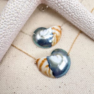 May include: Two nautilus shell necklaces with gold chains. The shells have a pearlescent blue and white interior with brown and white stripes on the exterior. The necklaces are displayed on a neutral-colored surface with a white starfish in the background.
