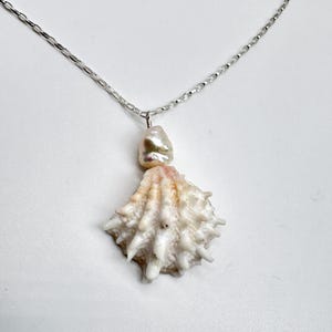 May include: A seashell pendant necklace with a silver chain. The pendant features a white, spiky seashell with a large, irregular pearl above it. The seashell has hints of pink and tan.