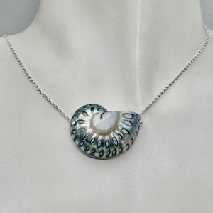 May include: A silver necklace with a nautilus shell pendant. The shell displays iridescent blue, green, and white colours. The chain is a delicate silver link.