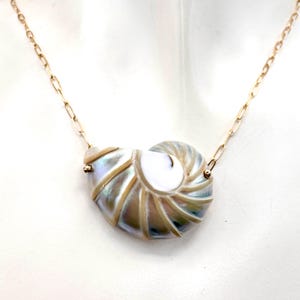 May include: A gold chain necklace featuring a nautilus shell pendant. The shell has iridescent blue, white, and gold tones. The necklace is displayed on a white background, highlighting the jewelry's design and craftsmanship.