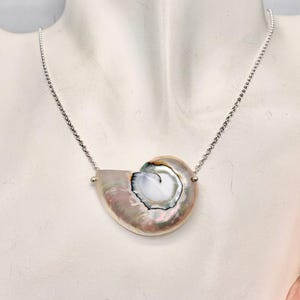 May include: A seashell pendant necklace with a silver chain. The pendant is a nautilus shell with iridescent colours of pink, white, and grey. The chain is a delicate silver ball chain.
