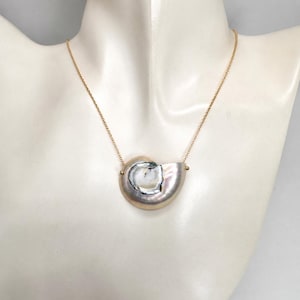 Unique Ivory Nautilus Shell Statement Necklace