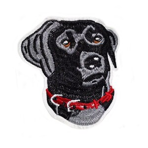 Cool & Large 10.5cm / 4.1 inch Dog Shirt or Jacket Iron On Patch Sticker Applique