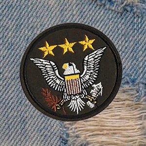 Cool USA American Army Military Tactical Eagle Embroidered Morale Patch Badge 8cm / 3.2 inch Iron On or Hook Back