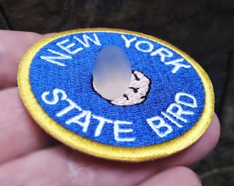 Parche divertido de pájaro del estado de Nueva York, NY, para gorra de camionero o camisa, regalo neoyorquino, 6 cm/2,4 pulgadas