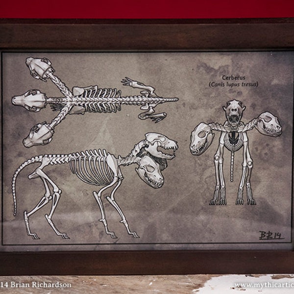 Cerberus Skeleton Faux-Scientific Print