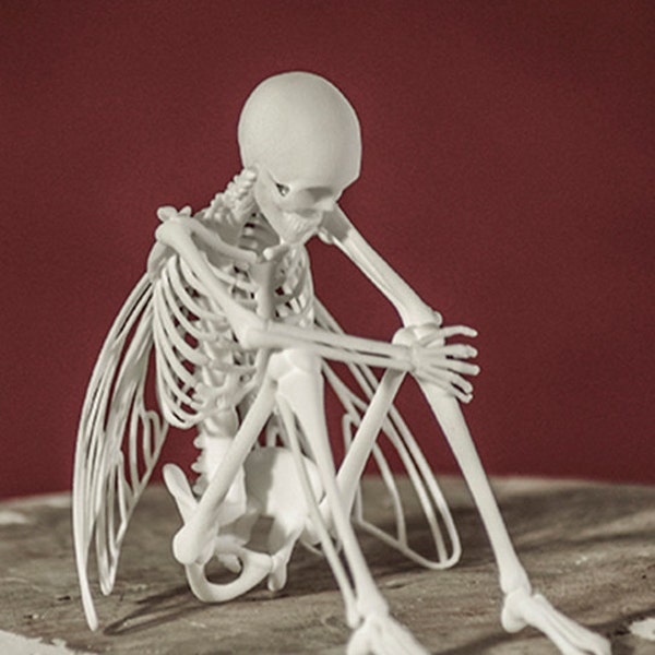 Fairy Skeleton 3D Print Taxidermy