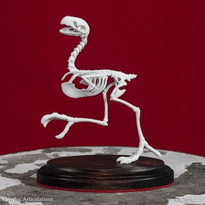 Easter Bunny Skeleton 3D Print Taxidermy Sculpture