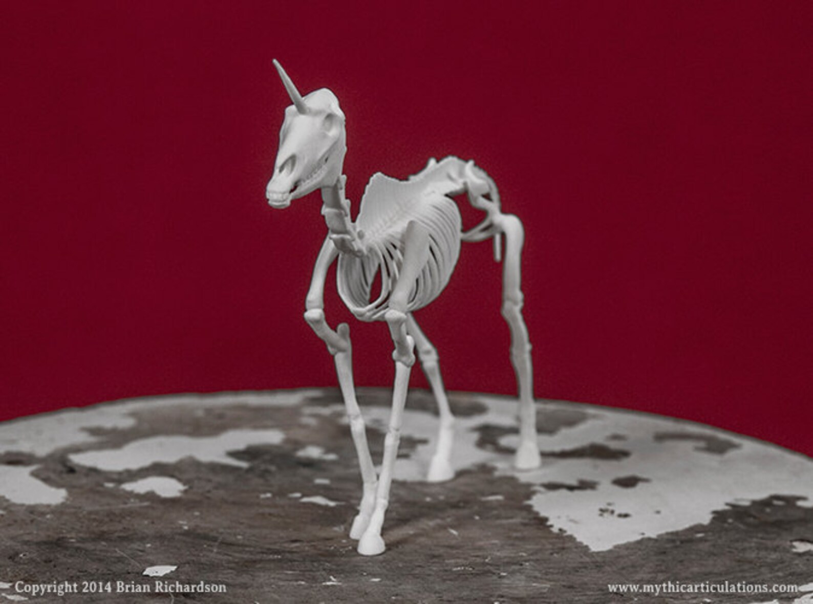 Unicorn Skeleton 3D Print Taxidermy Sculpture - Etsy