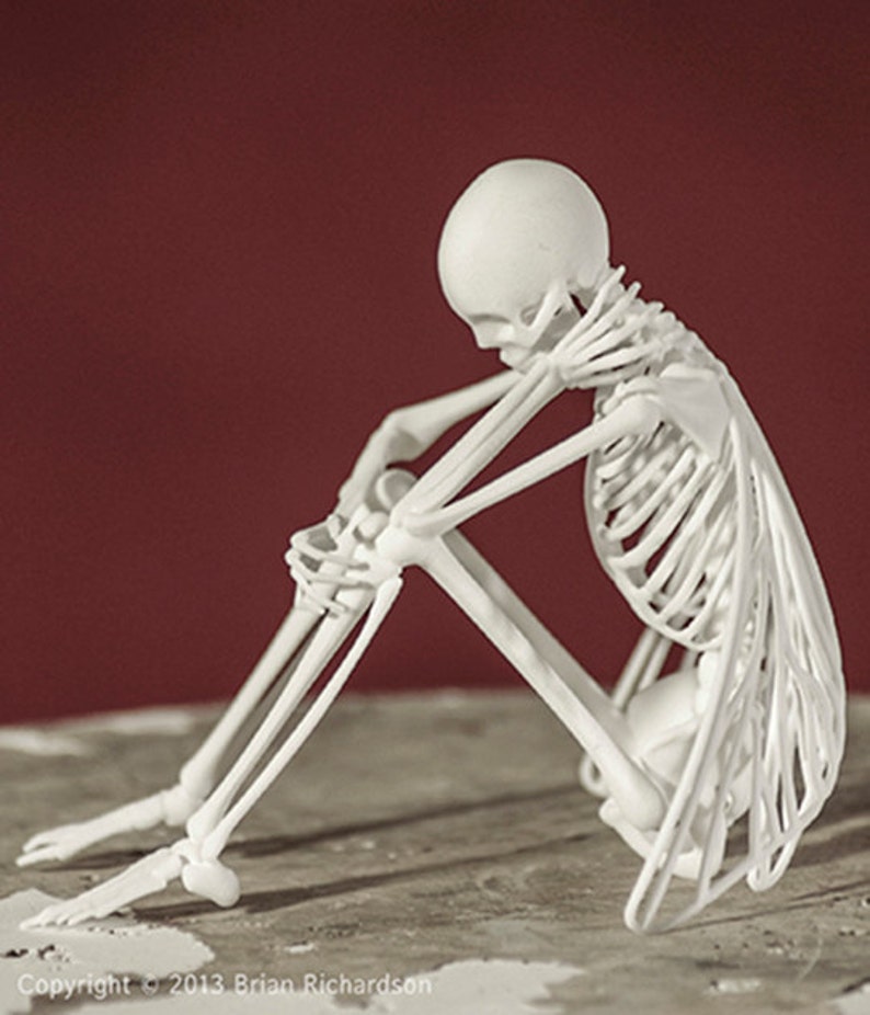 buy online and worldwide shipping Fairy Skeleton 3D Print