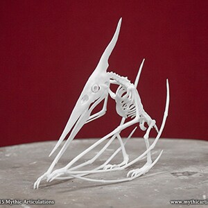 Kongamato Skeleton 3D Print Taxidermy Sculpture image 1