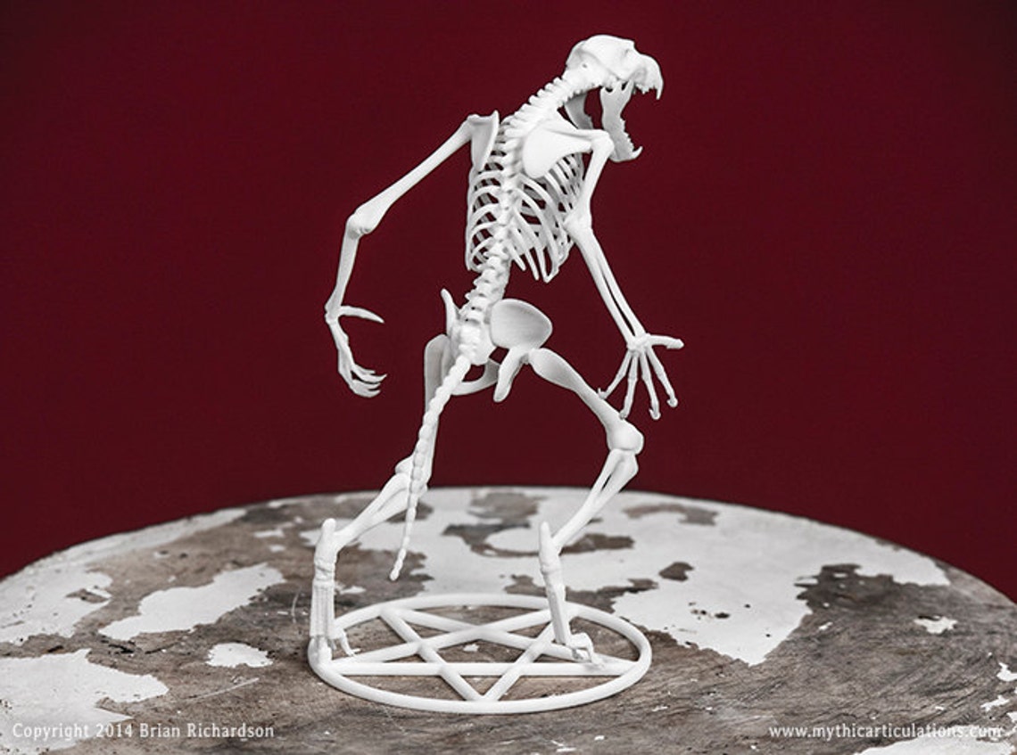 Werewolf Skeleton 3D Print Etsy