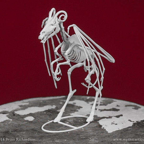 Jersey Devil Skeleton 3D Print Taxidermy Sculpture