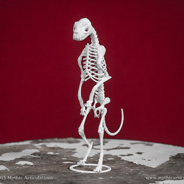 Bakeneko Skeleton 3D Print Taxidermy Sculpture