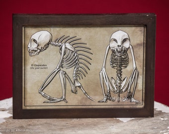 Chupacabra Skeleton Faux-Scientific Print