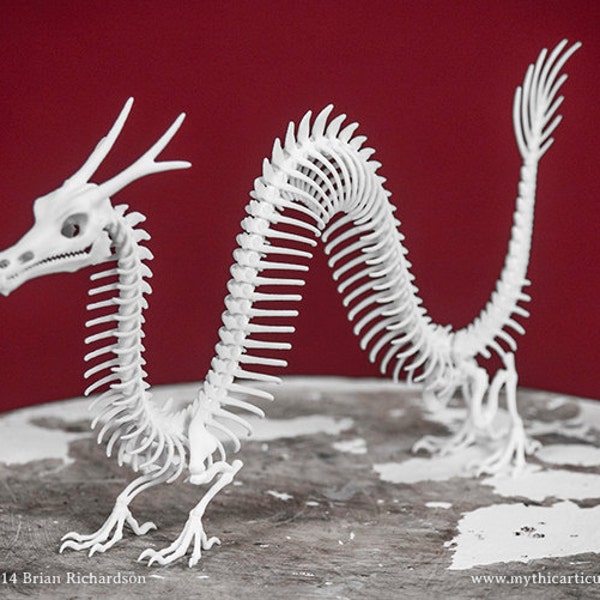 Asian Dragon Skeleton 3D Print Taxidermy