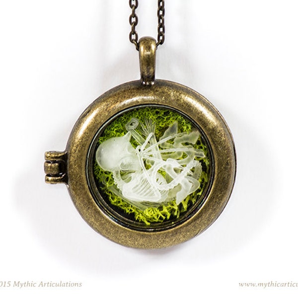 Imp Skeleton Pendant with Moss Taxidermy Necklace in Antique Bronze