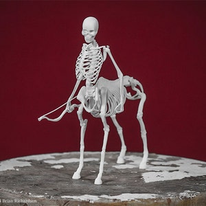 Centaur Skeleton 3D Print