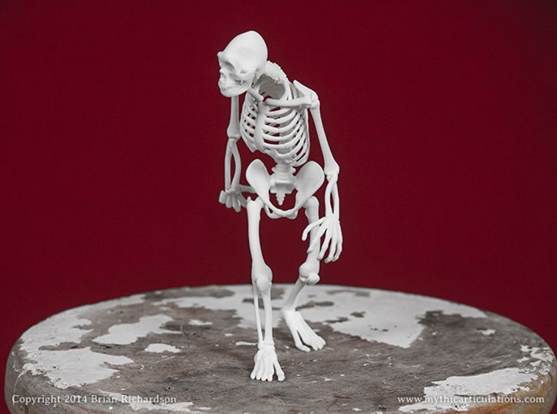 Sasquatch Bigfoot Skeleton 3D Print Taxidermy Sculpture - Etsy