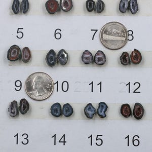 May include: Sixteen small, polished geode halves, each with unique crystal formations and colours. The geodes are arranged in pairs, with a coin for size comparison. Colours include grey, white, brown, and purple.