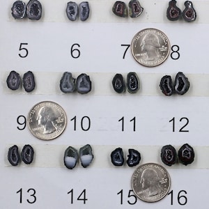 May include: A collection of sixteen small, polished geode slices, each showcasing unique crystal formations and colors. The geodes are arranged in pairs and numbered 1-16. A US quarter is included for size reference. The geodes display shades of purple, gray, brown, and white.