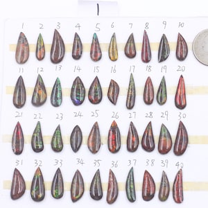 20mm Ammolite Cabochons YHA-207-1