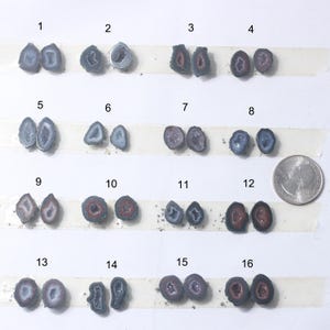 May include: A collection of sixteen halved geodes, each showcasing unique crystal formations and colors. The geodes vary in size and feature a range of hues, including gray, purple, red, and blue. A quarter is included for size comparison.