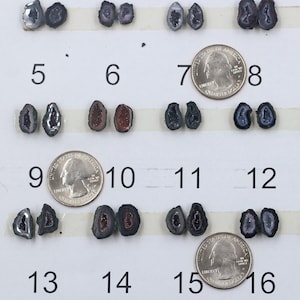 May include: A collection of sixteen small, polished geode slices, each showcasing unique crystal formations and colors. The geodes vary in size and shape, with a quarter coin included for scale. The color palette includes shades of gray, purple, brown, and white.