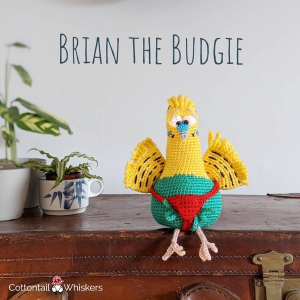 Cute Budgie Crochet Pattern, PDF Digital Download, Amigurumi Bird Tutorial, Shelf Sitter Soft Toy, Brian