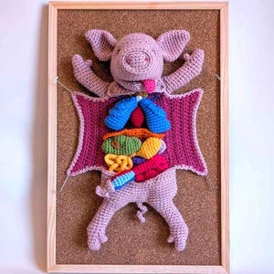 Crochet Piglet Dissection Pattern, PDF Digital Download, Homeschool Biology Project, Amigurumi Pig Wall Hanging