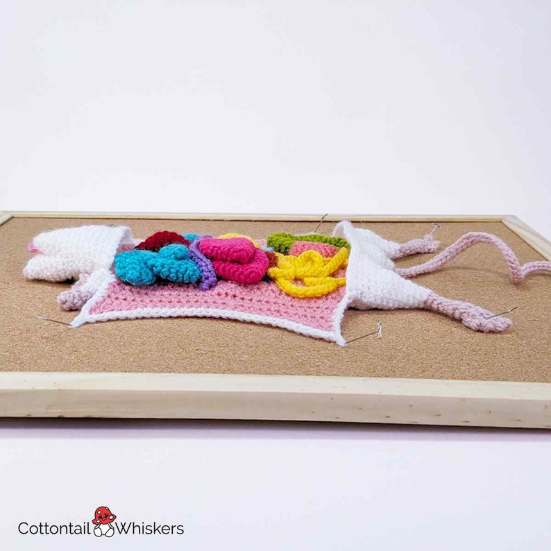 Modèle de biologie de dissection de rat au crochet, téléchargement numérique PDF, tutoriel souris Amigurumi image 4