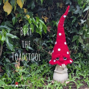 Op de afbeelding: Een gehaakte paddenstoelfiguur genaamd Bert the Toadstool met een hoge, puntige rode hoed met witte stippen, een beige basis en een droevige gezichtsuitdrukking met grote donkere ogen. De tekst Bert the Toadstool is links zichtbaar.