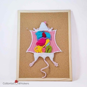 Modèle de biologie de dissection de rat au crochet, téléchargement numérique PDF, tutoriel souris Amigurumi image 3