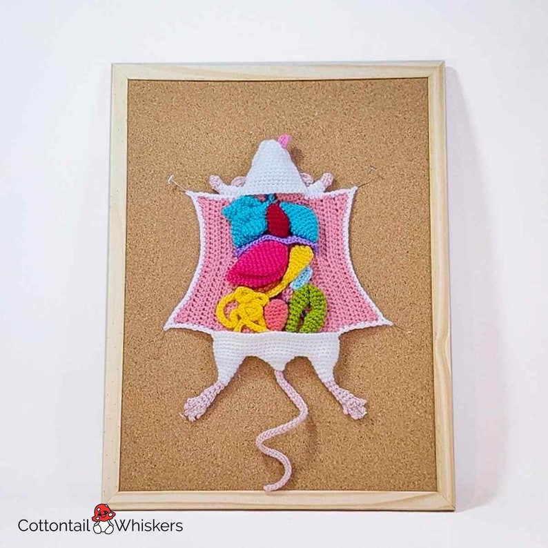 Modèle de biologie de dissection de rat au crochet, téléchargement numérique PDF, tutoriel souris Amigurumi image 3