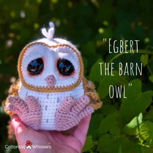 May include: A handmade crochet owl toy, featuring a white face with large black eyes, a tan outline, and pink feet. The text "EGBERT THE BARN OWL" is written in white. The owl is held in a hand against a green background.