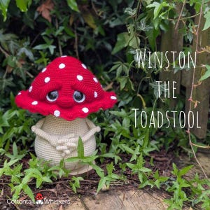 Op de afbeelding: Een gehaakt paddenstoelfiguur met een felrode hoed met witte stippen, grote donkere ogen en een beige steel. Het figuur heeft kleine armpjes voor het lichaam gevouwen. De tekst WINSTON THE TOADSTOOL is zichtbaar aan de rechterkant van de afbeelding.
