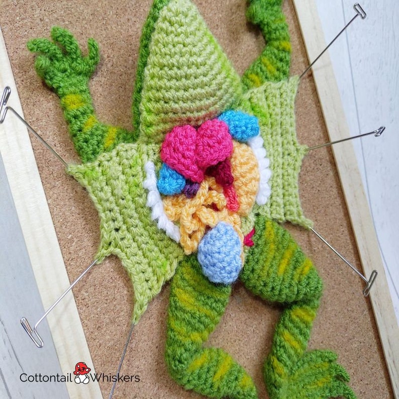 Crochet Dissected Frog, PDF PATTERN ONLY, Amigurumi Wall Hanging, Geek Decor, Science Dissection 画像 5