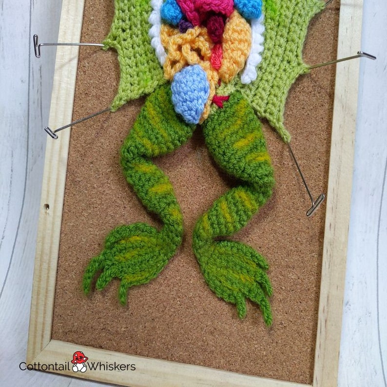 Crochet Dissected Frog, PDF PATTERN ONLY, Amigurumi Wall Hanging, Geek Decor, Science Dissection 画像 6