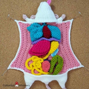 Crochet Rat Dissection Pattern, PDF Digital Download, Biology Amigurumi ...