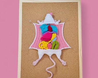 Crochê de Dissecação de Rato, Download Digital em PDF, Tutorial de Amigurumi de Rato para Projeto Escolar ou Presente