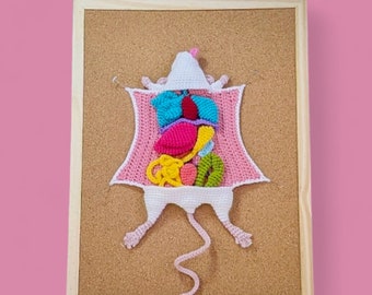 Crochet Rat Dissection Biology Pattern, PDF Digital Download, Amigurumi Mouse Tutorial