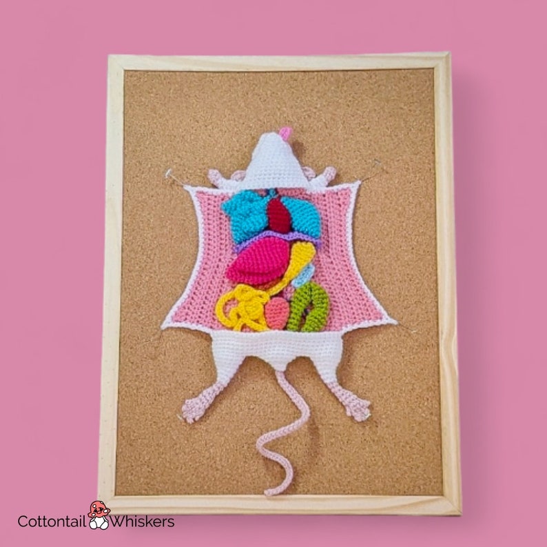 Modèle de biologie de dissection de rat au crochet, téléchargement numérique PDF, tutoriel souris Amigurumi image 1