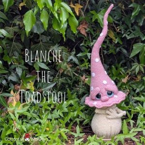 Könnte beinhalten: Eine gehäkelte Figur namens Blanche the Toadstool mit einem hohen, spitzen rosa Hut mit weißen Punkten, großen blauen Augen und einer beigen, abgerundeten Basis. Der Text Blanche the Toadstool ist links im Bild zu sehen.