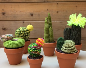 Custom Crochet cactus size L