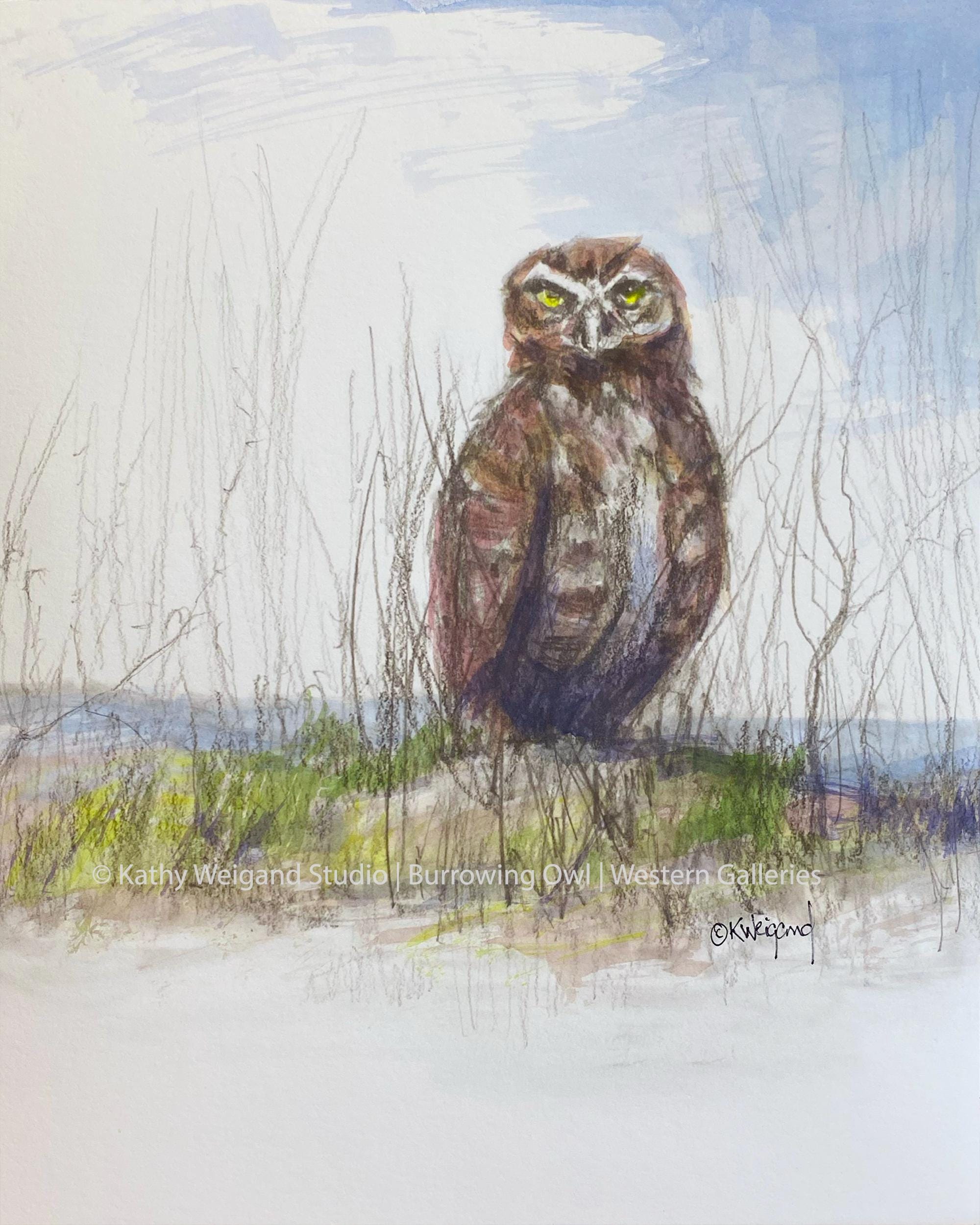 Burrowing Owl Watercolor Signed 8x10 Art